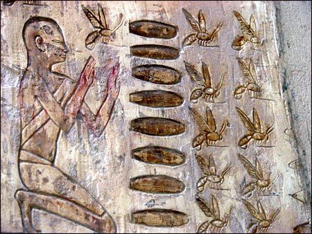bees-egypt-heiroglyphs