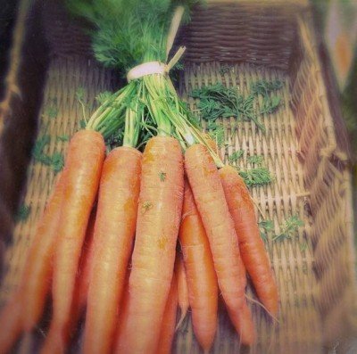 carrots