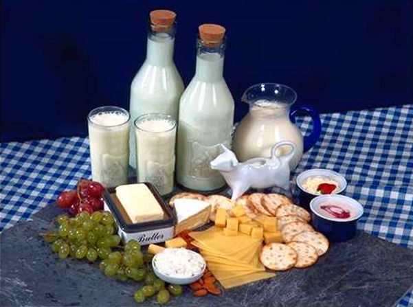 dairy3
