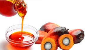 the healthiest oils for cooking