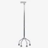 walking stick