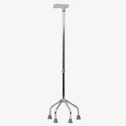 walking stick