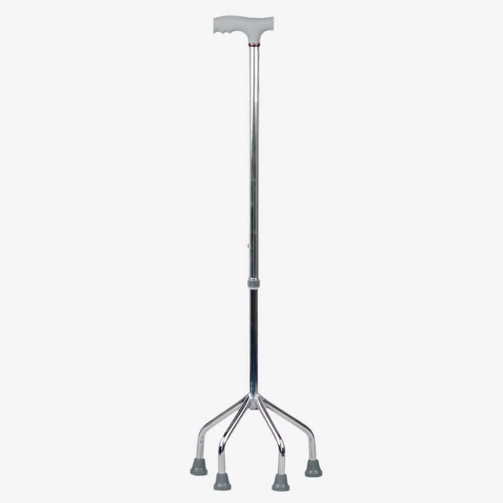 walking stick