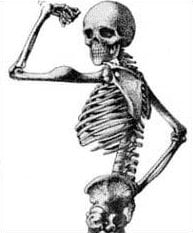 strong bones